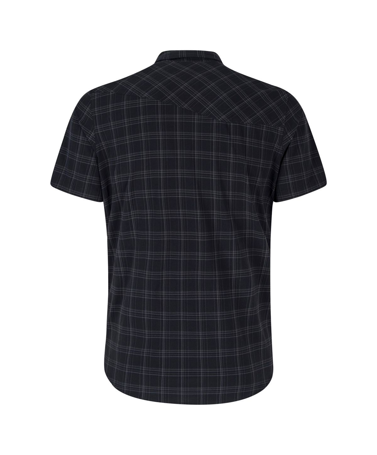 FELCE 2 SHIRT ARDESIA
