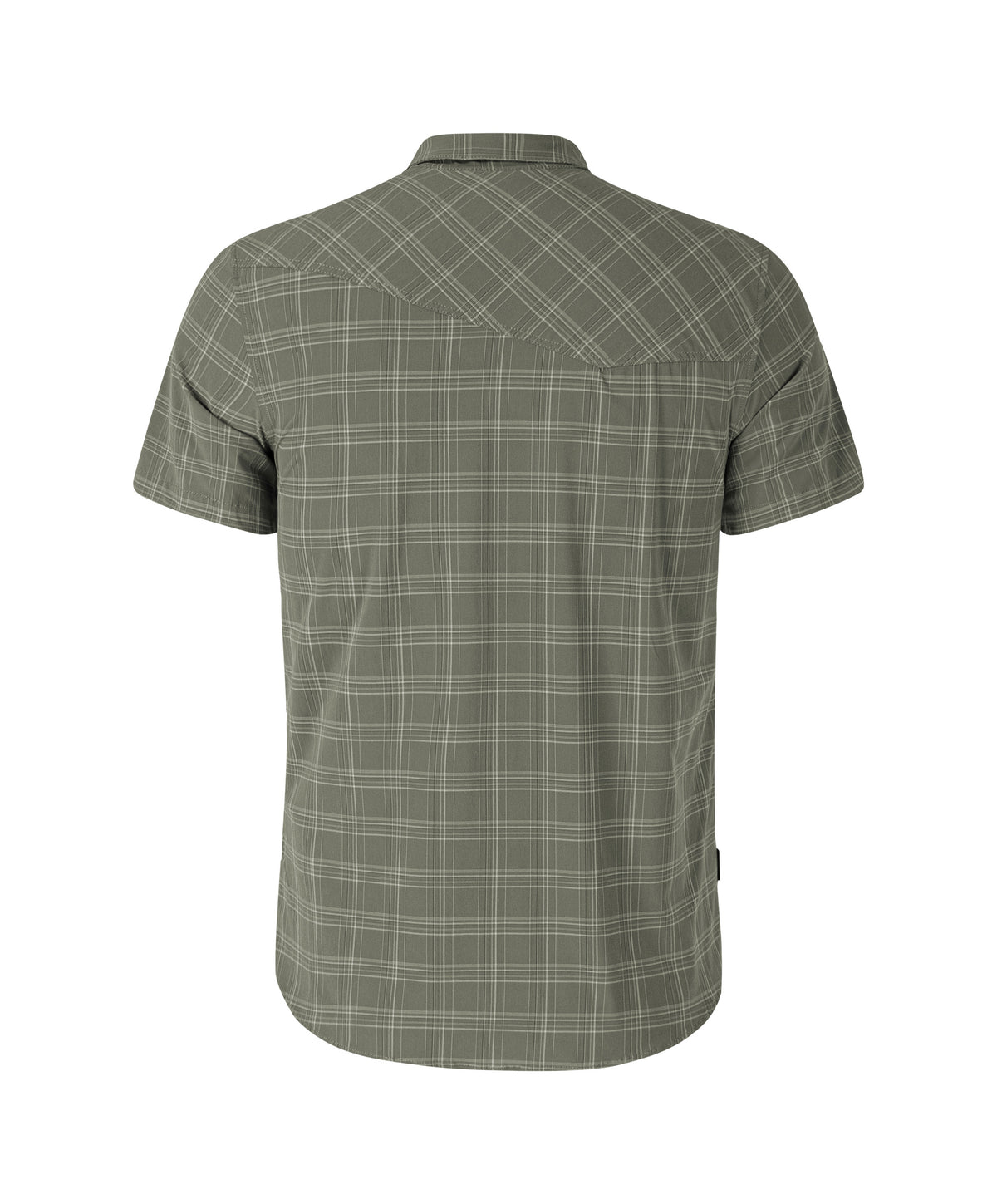 FELCE 2 SHIRT VERDE SALVIA
